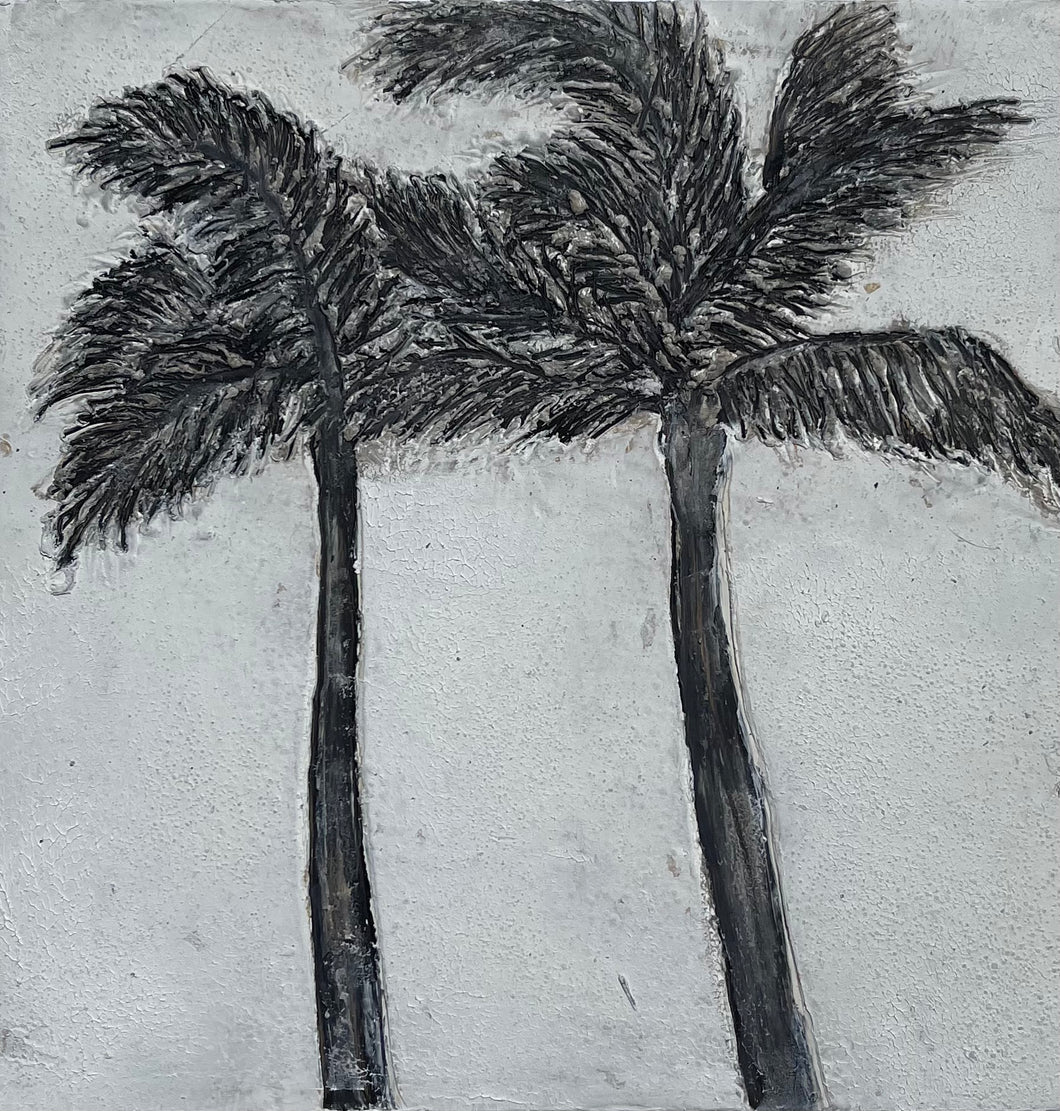 Palm Series